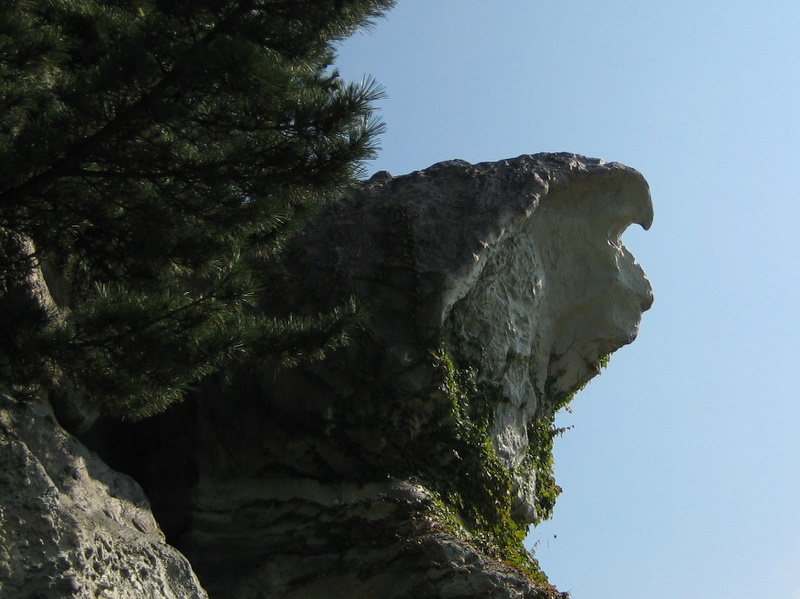 c0013687_15431592.jpg