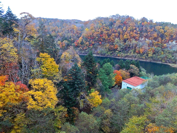 b0199097_1943661.jpg