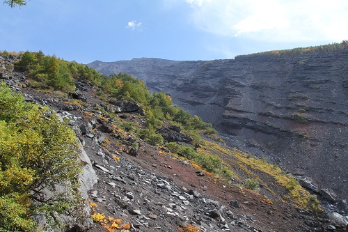 a0158702_1722751.jpg