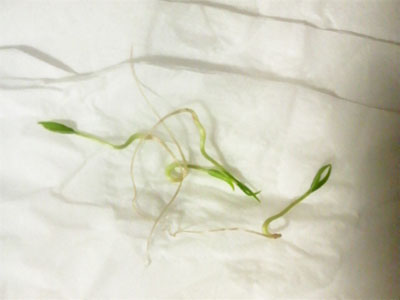 f0082402_23371272.jpg