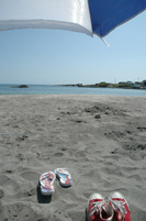 d0052904_16097.jpg