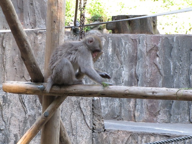 秋の遠足　～多摩動物園～_b0142405_0736.jpg