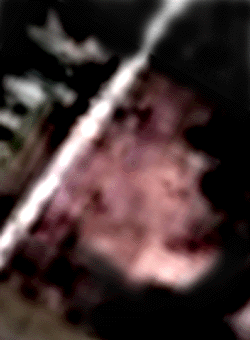 e0103408_13272954.gif