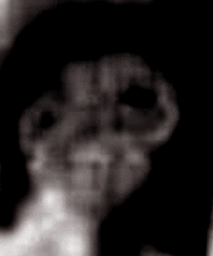 e0103408_13364937.gif