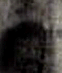 e0103408_13372529.gif
