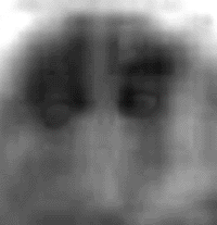 e0103408_1337935.gif