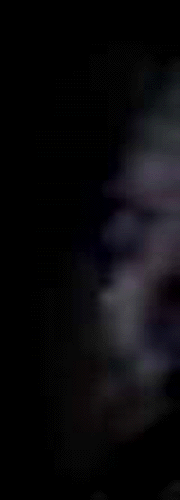 e0103408_13381296.gif