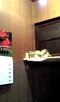 e0103408_1338239.gif