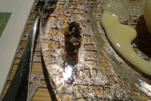 f0079111_1514645.jpg