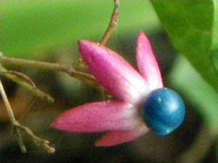d0130212_9242590.jpg