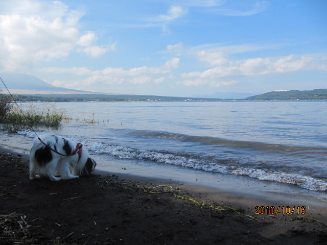 c0200916_241045.jpg