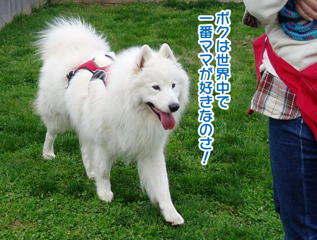 大きくなったスマイル君_a0044521_22494482.jpg