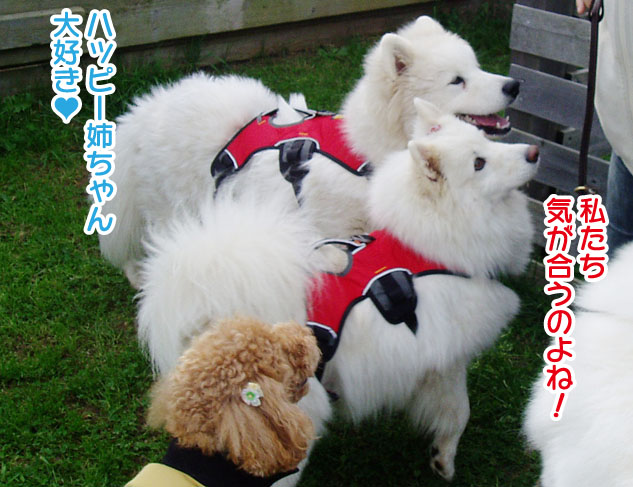 大きくなったスマイル君_a0044521_2254184.jpg