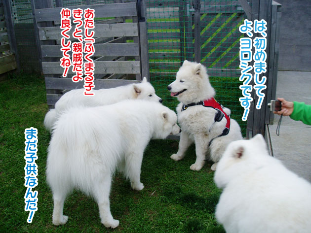 大きくなったスマイル君_a0044521_22572695.jpg