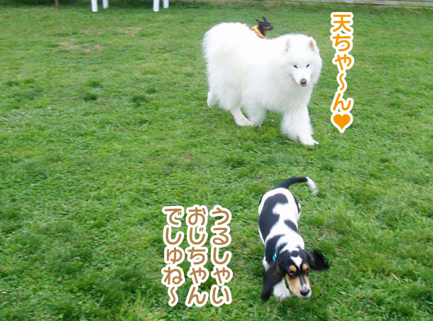 大きくなったスマイル君_a0044521_23142664.jpg