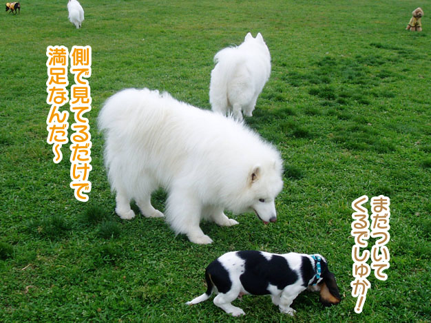 大きくなったスマイル君_a0044521_2317189.jpg