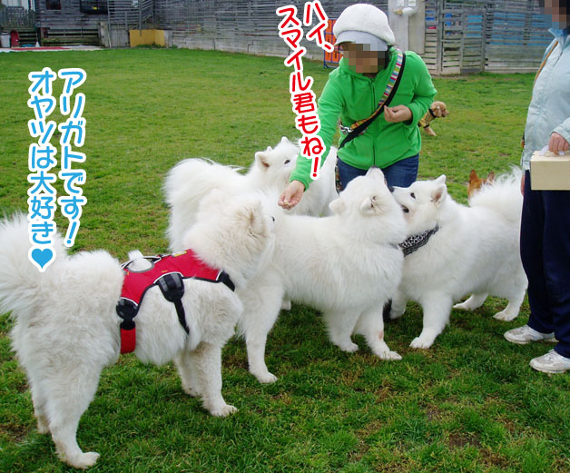 大きくなったスマイル君_a0044521_233288.jpg