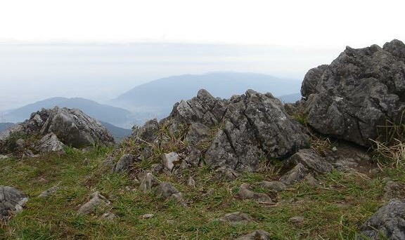 f0000521_6312114.jpg