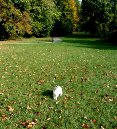 Autumn Walk_c0201334_1023852.jpg