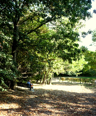 Autumn Walk_c0201334_1081892.jpg