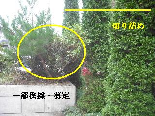 免許更新&物置作り&見積もり作業_f0031037_1802355.jpg