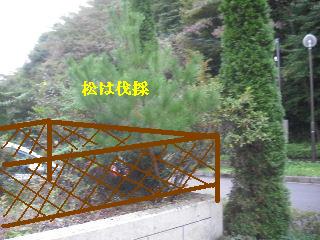 免許更新&物置作り&見積もり作業_f0031037_1803069.jpg