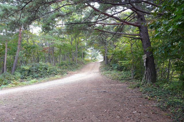 2010.10.21甑岳ハチカ沢コース_f0003138_11511389.jpg