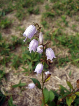 e0110940_9414748.jpg
