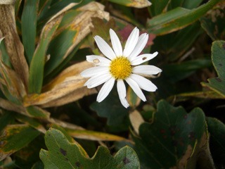e0110940_9422555.jpg