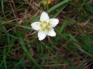 e0110940_9442375.jpg