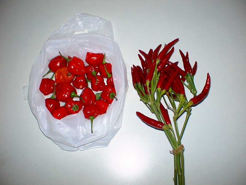 e0023643_20332429.jpg