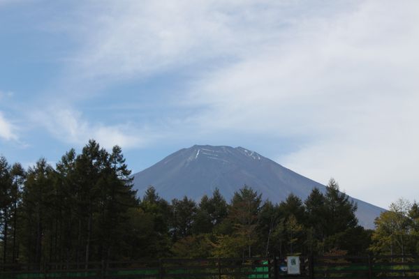 一人と2ピキの旅♪山中湖_b0148945_10550.jpg