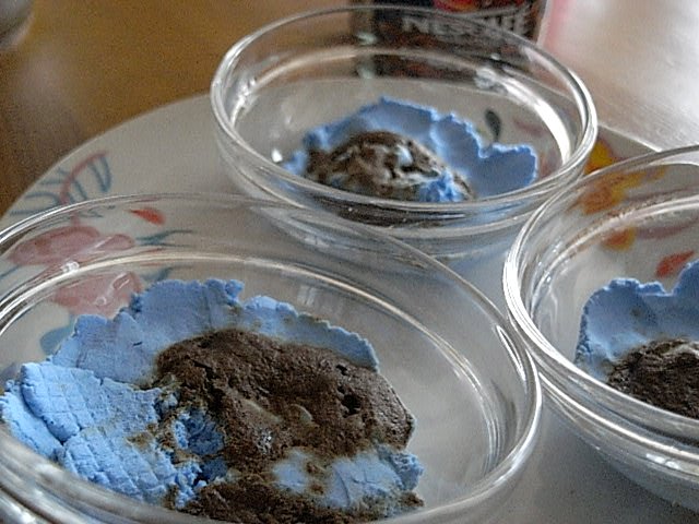 青いお菓子 パリ生活社ミルクとマカロンまめ更新ブログ 青いお菓子 パリ生活社ミルクとマカロンまめ更新ブログ