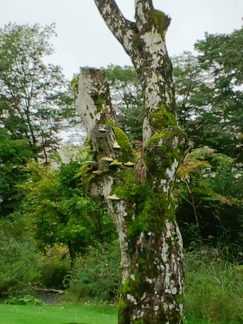 箱根1泊家族旅行　風景編_c0030950_23431950.jpg