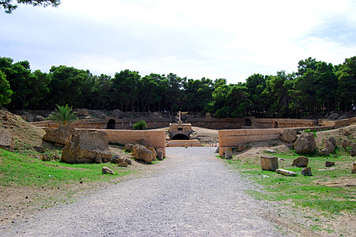 チュニジア旅行記　世界遺産「カルタゴ遺跡」編_f0019356_024223.jpg