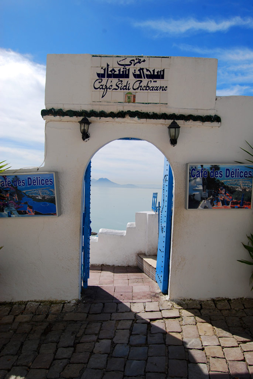 チュニジア旅行記　青と白の街「シディ・ブ・サイド」編_f0019356_094394.jpg