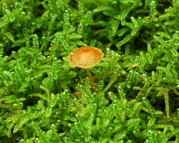 e0035757_2257438.jpg