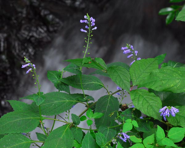 e0035757_2303449.jpg