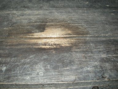 b0113663_97379.jpg