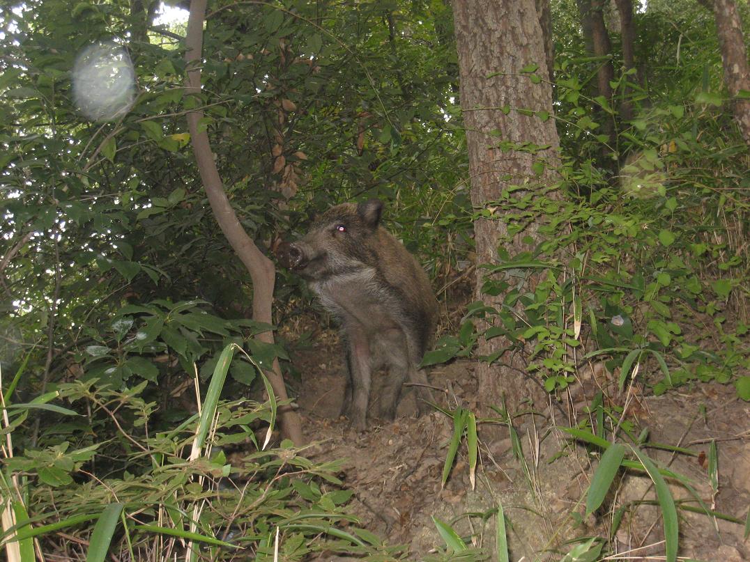 会下山・不気味な目に遭遇しました。_f0205367_14455172.jpg