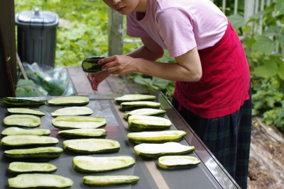 奈良漬け（しまうりの粕漬け）を、ちょっと味見_c0110869_1631276.jpg
