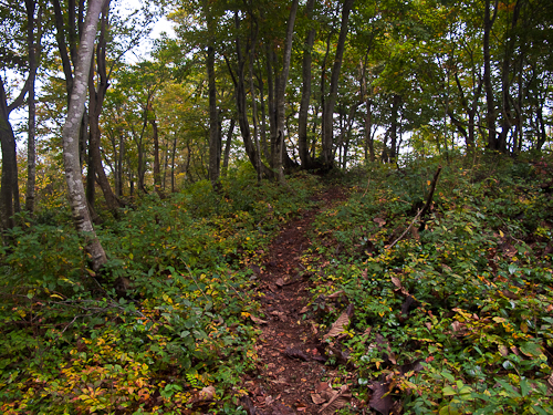 c0203681_15232090.jpg