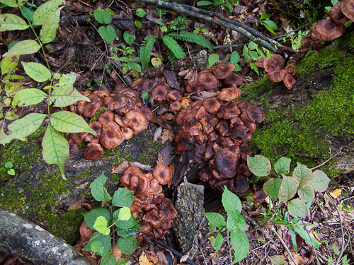 c0203681_15292051.jpg