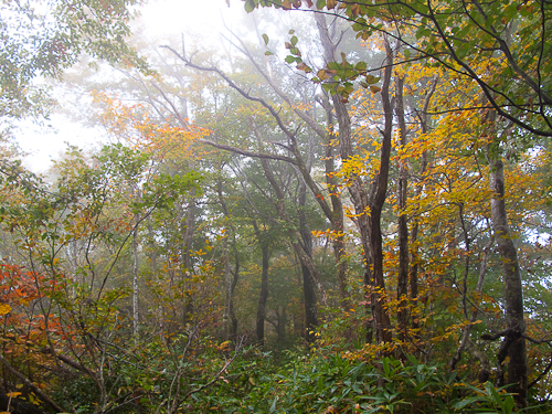 c0203681_16132826.jpg