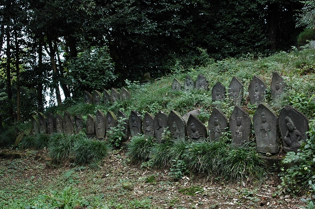 c0212083_1558543.jpg