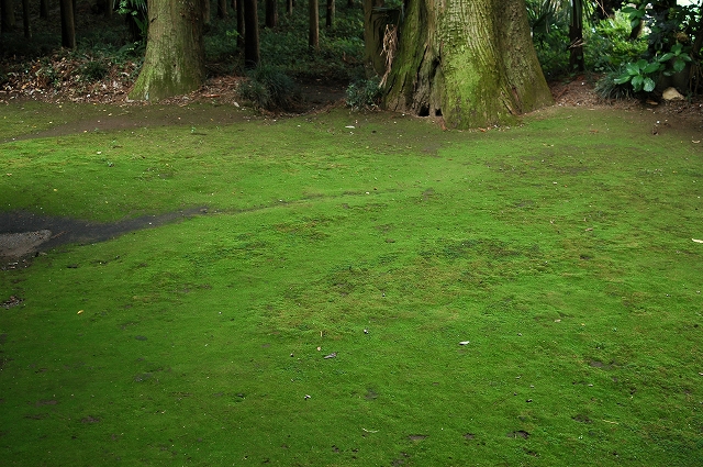 c0212083_1605144.jpg