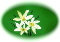 断捨離_c0132387_22362177.jpg