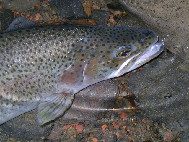 c0223591_18281261.jpg