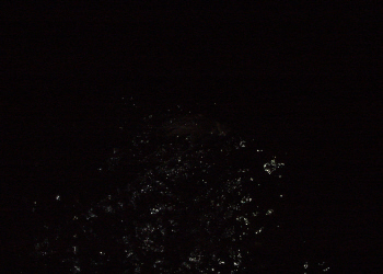c0125996_9455220.jpg