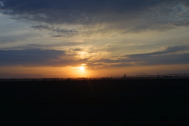 c0062603_1132185.jpg